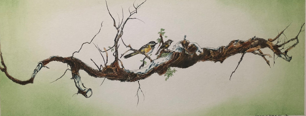 Birds on a Limb 2