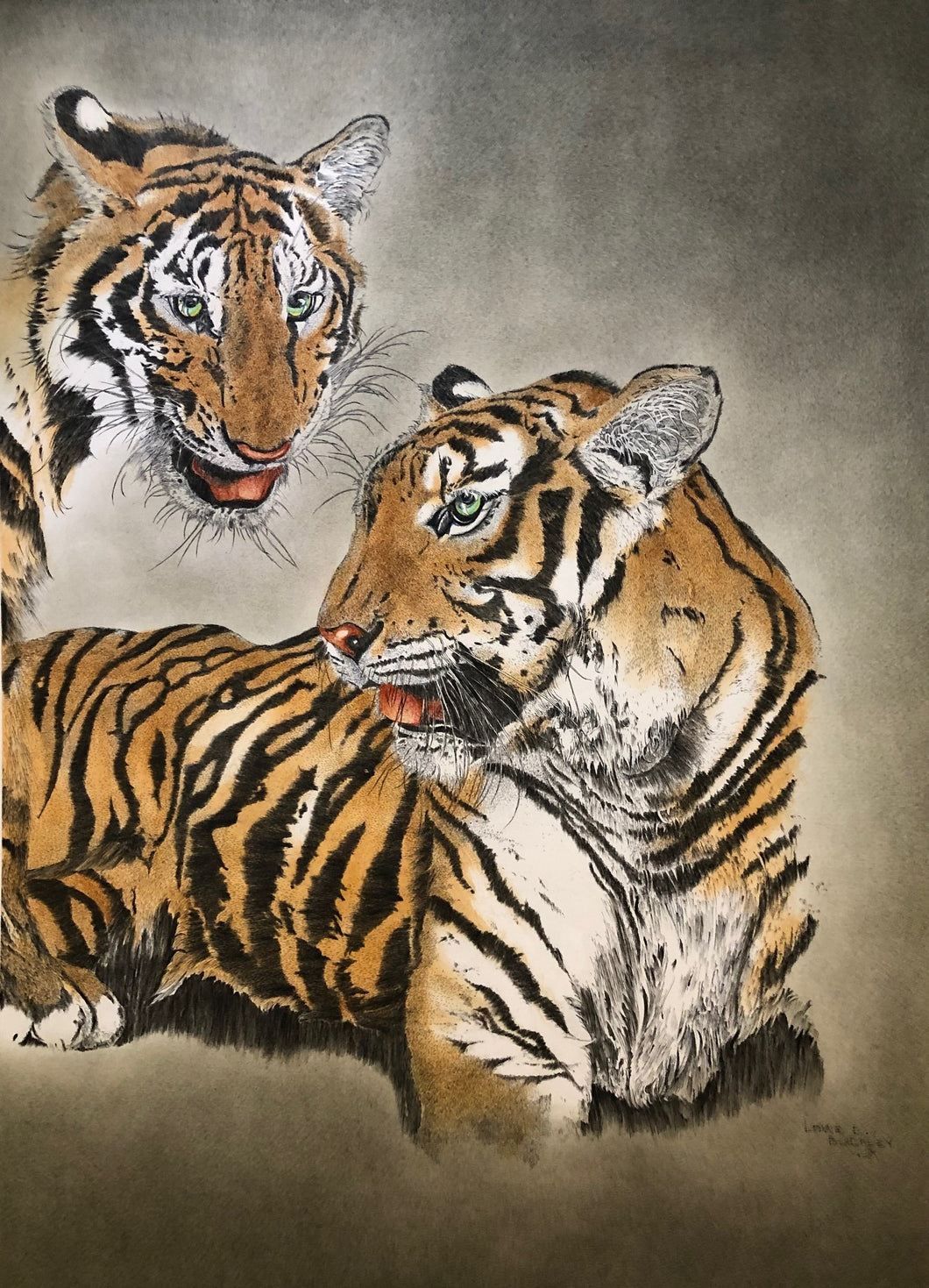 Tigers