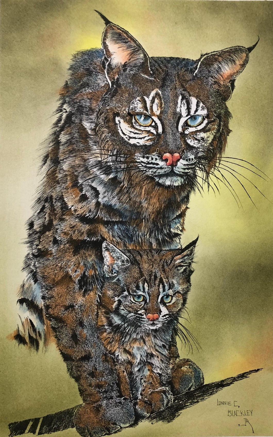 Lynx Mom and Cub